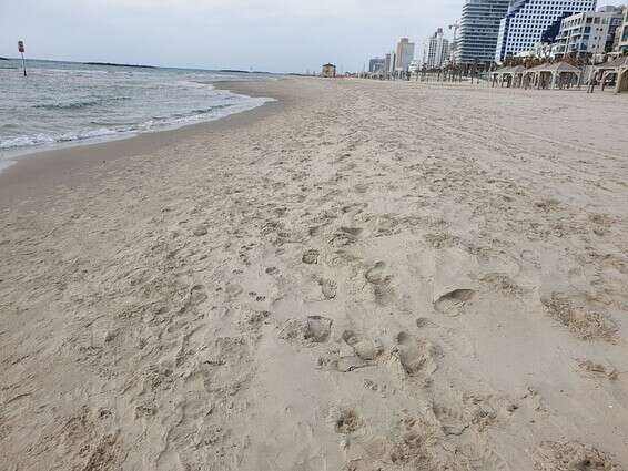 גם החופים של ת"א ריקים // צילום: שמעון יעיש